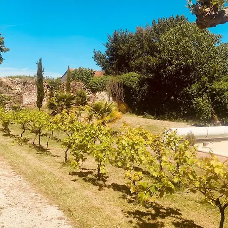 Gite Des Fleurs Cozes Exterior photo